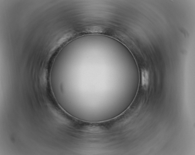 X0000114150300200910221552