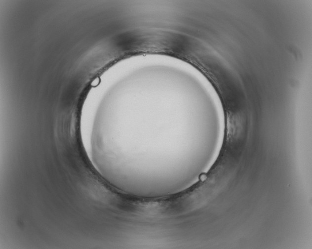 X0000114150301200910221552