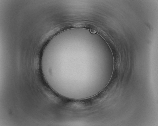 X0000114150303200910221552