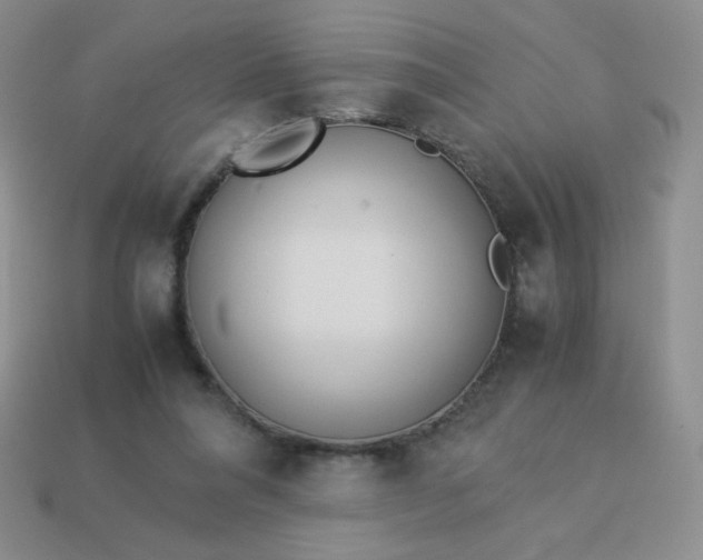 X0000114150304200910221552