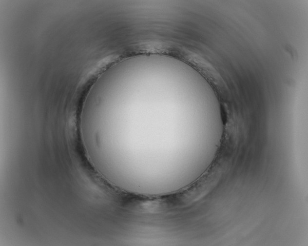 X0000114150306200910221552