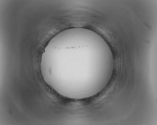 X0000114150307200910221552