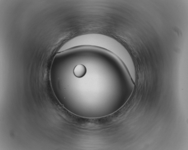 X0000114150308200910221552