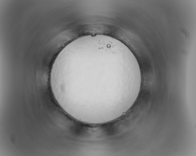 X0000114150309200910221552