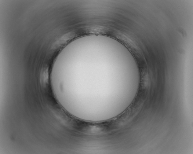 X0000114150310200910221552