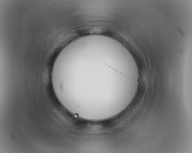 X0000114150311200910221552