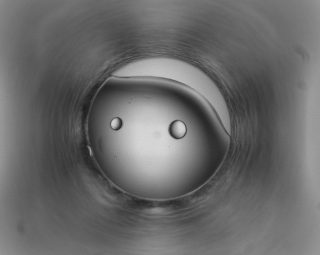 X0000114150312200910221552