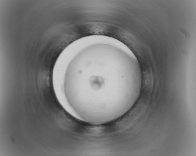 X0000114150313200910221552