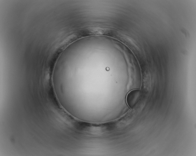 X0000114150314200910221552