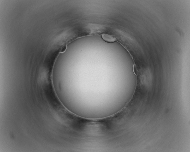 X0000114150316200910221552