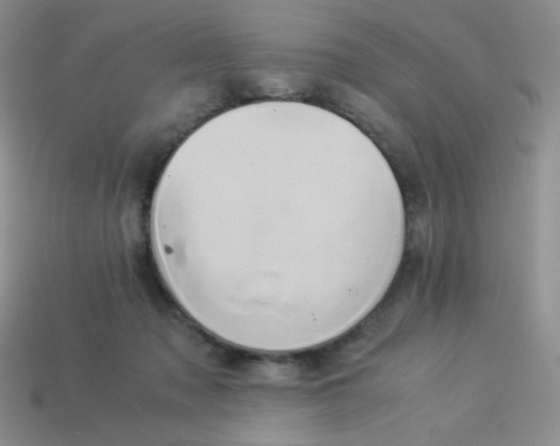 X0000114150317200910221552