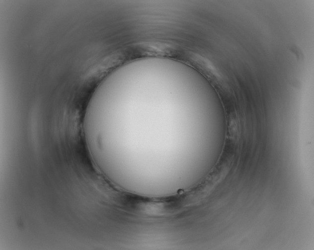 X0000114150318200910221552