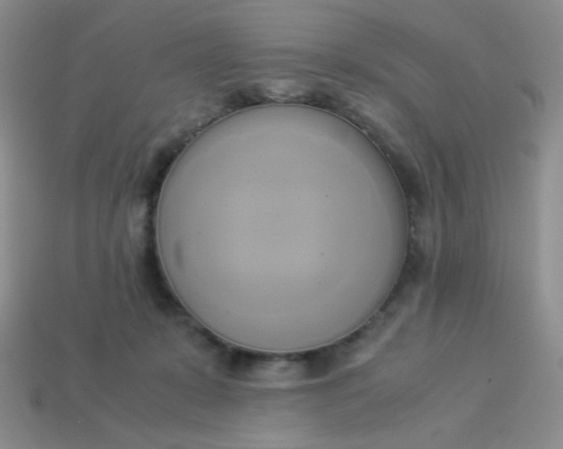 X0000114150319200910221552