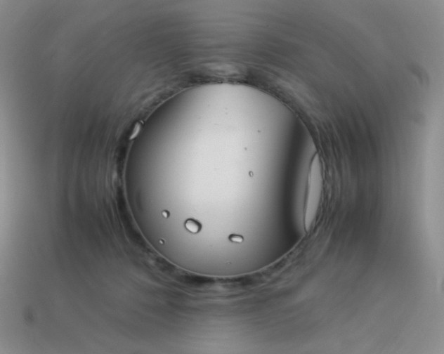 X0000114150320200910221552