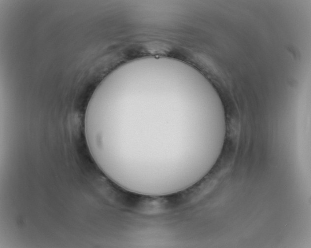 X0000114150321200910221552