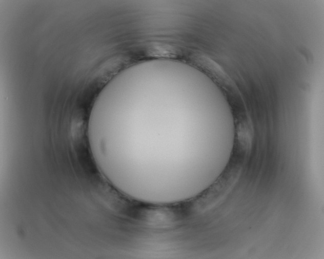 X0000114150322200910221552