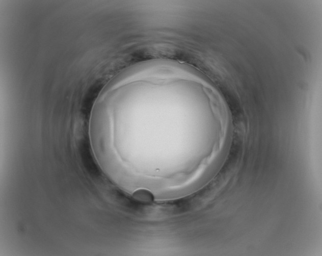 X0000114150323200910221552