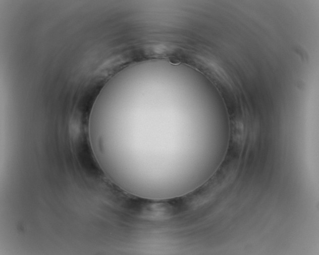 X0000114150324200910221552