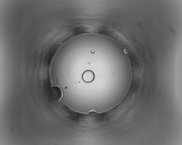 X0000114150325200910221552