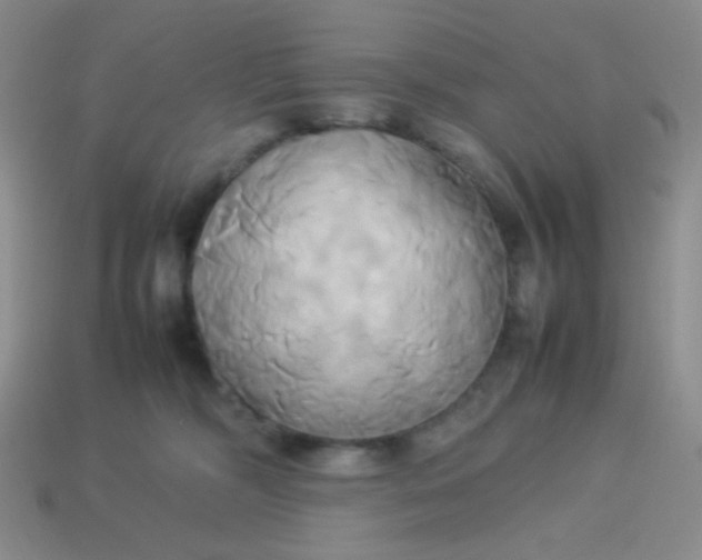 X0000114150326200910221552