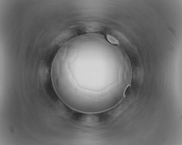 X0000114150327200910221552