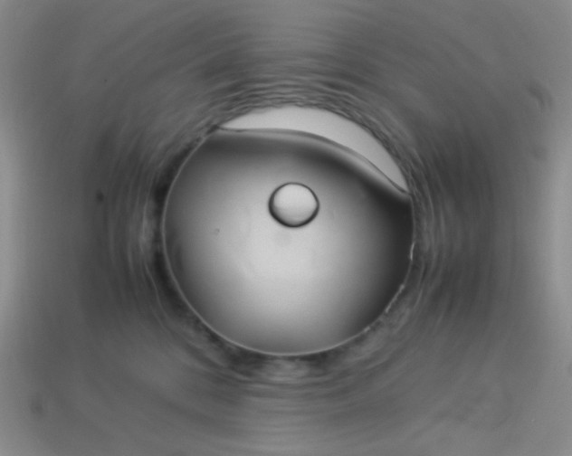 X0000114150328200910221552