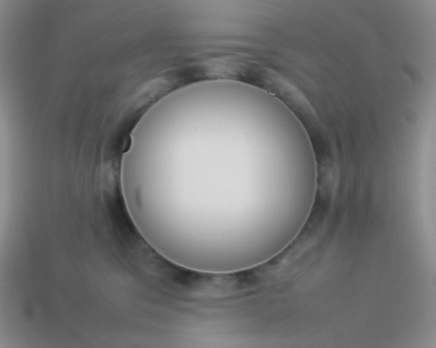 X0000114150329200910221552