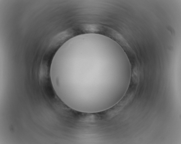 X0000114150330200910221552