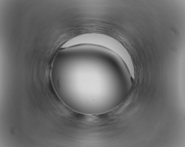 X0000114150333200910221552