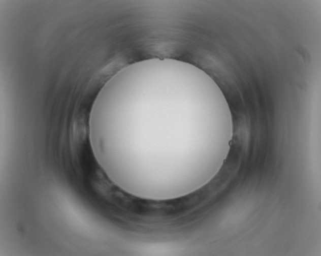 X0000114150334200910221552