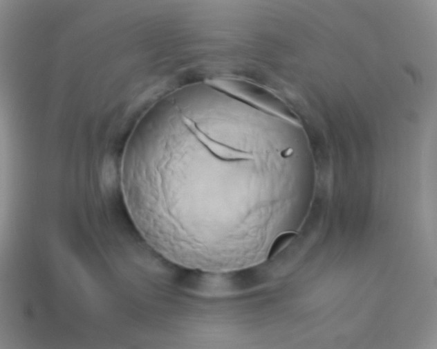 X0000114150335200910221552