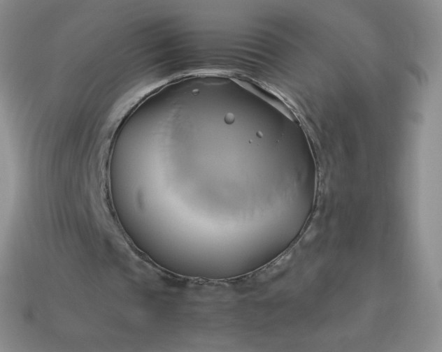 X0000114150337200910221551