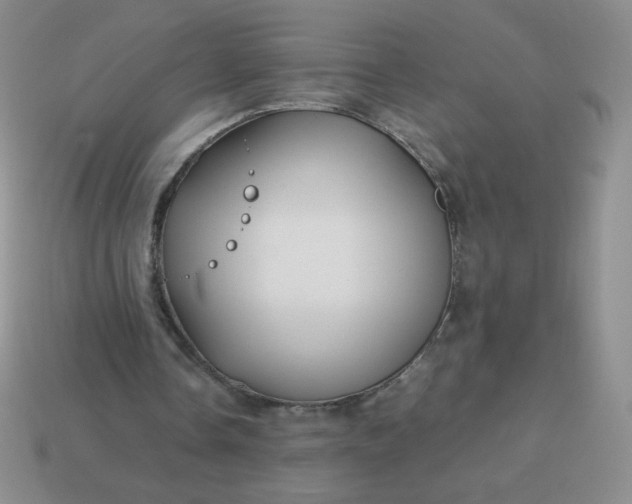 X0000114150338200910221551