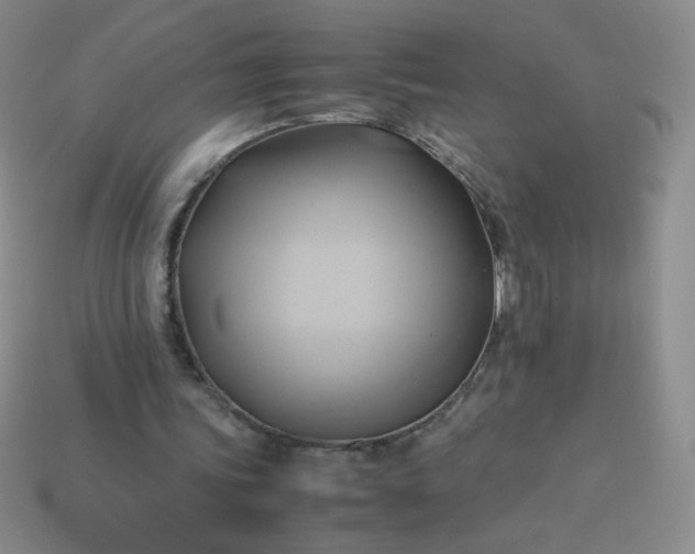 X0000114150339200910221551