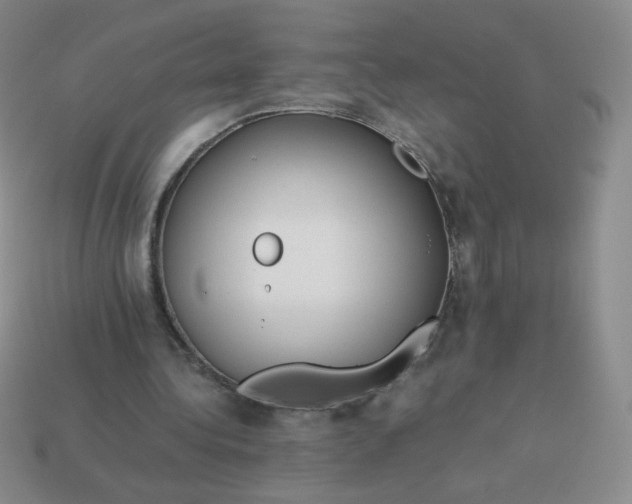 X0000114150340200910221551