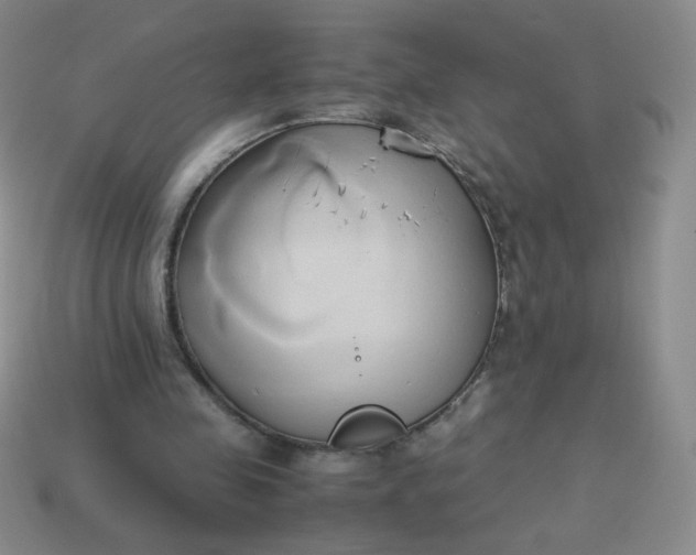 X0000114150341200910221551