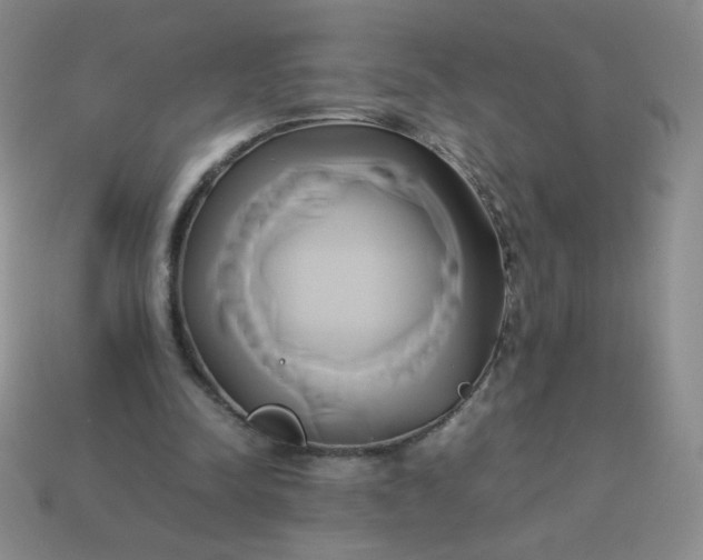 X0000114150342200910221551