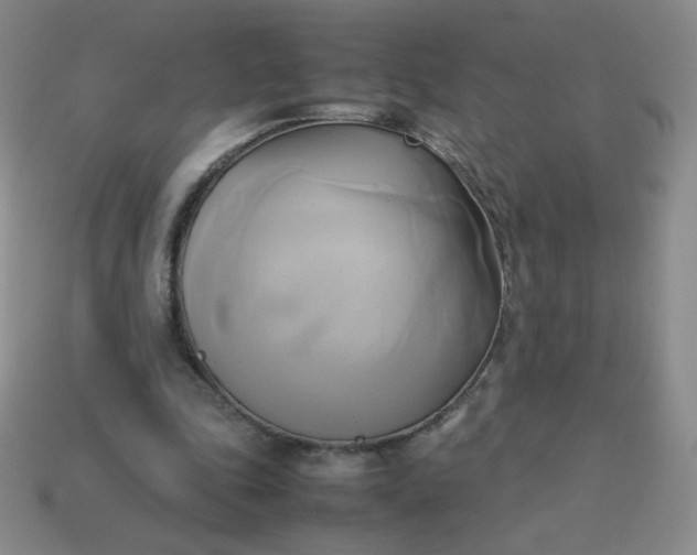 X0000114150343200910221551