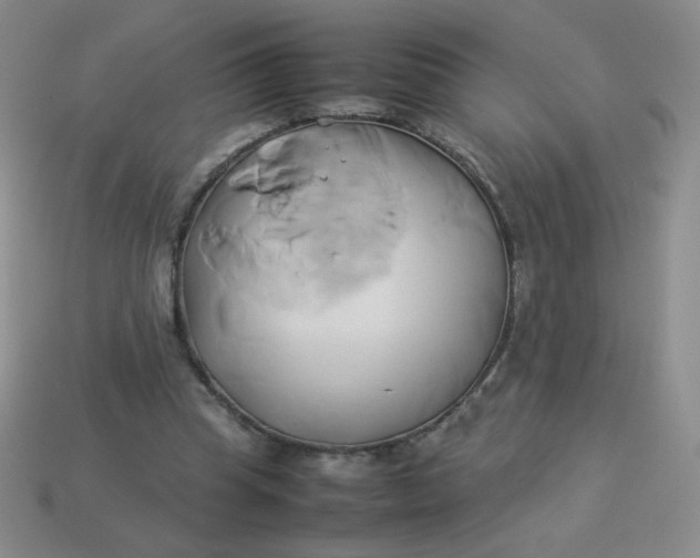 X0000114150345200910221551