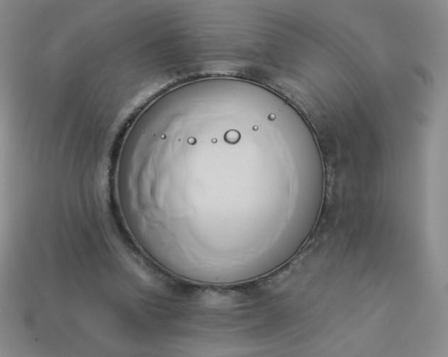 X0000114150346200910221551