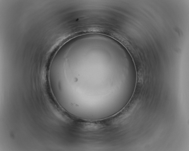 X0000114150347200910221551