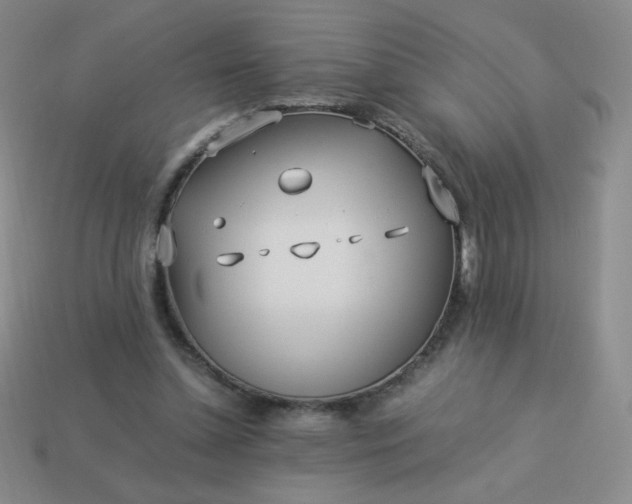 X0000114150348200910221551