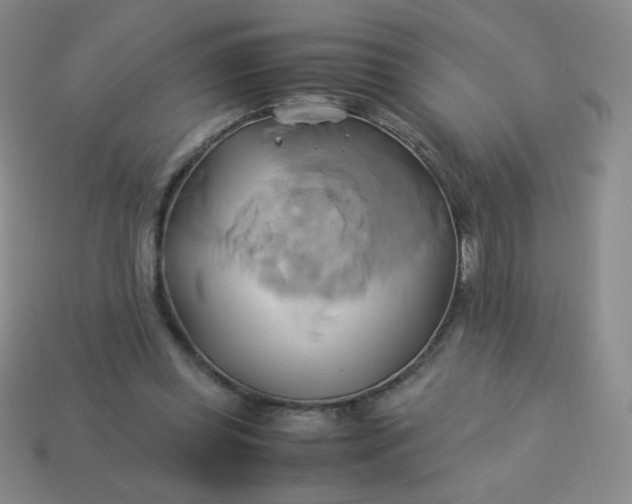 X0000114150349200910221551