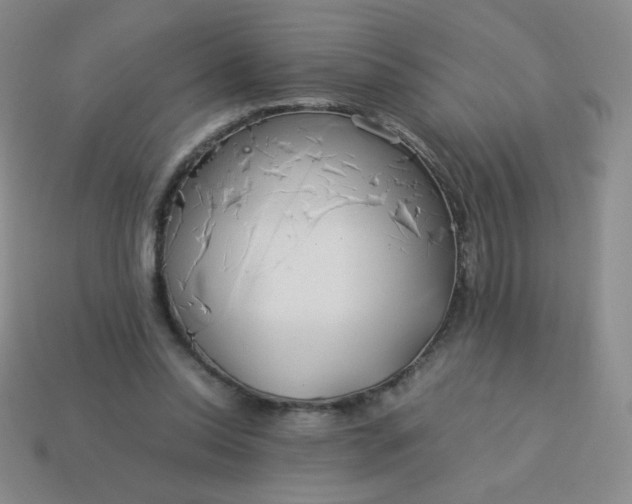 X0000114150350200910221551