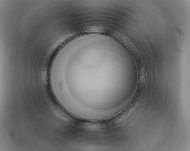 X0000114150351200910221551