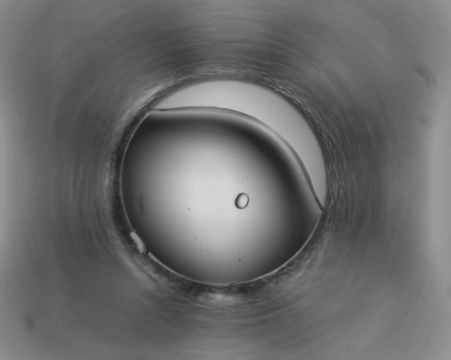 X0000114150352200910221551