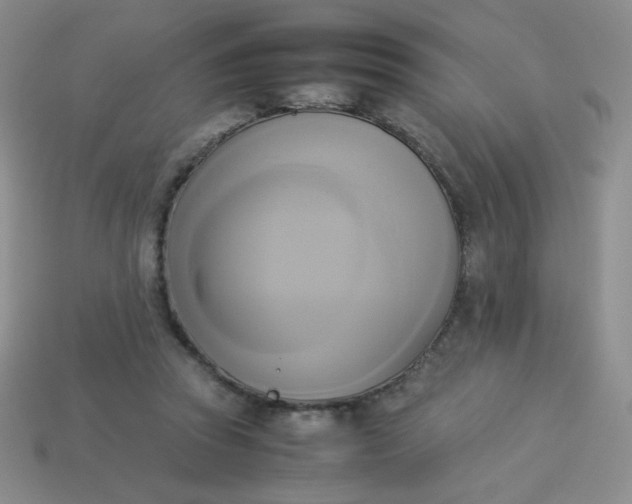 X0000114150353200910221551