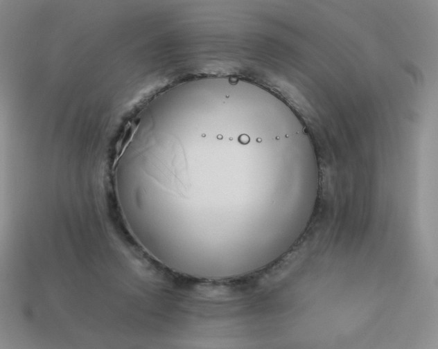 X0000114150354200910221551