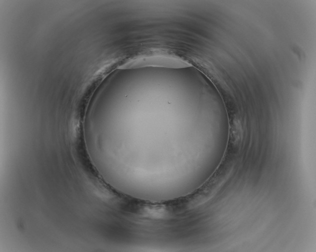 X0000114150355200910221551