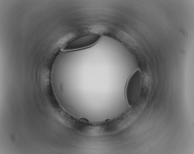 X0000114150356200910221551